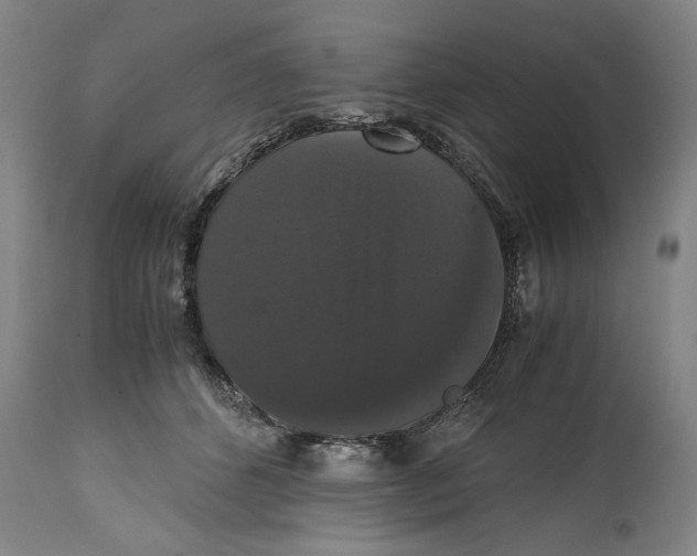 X0000114620512200911171100