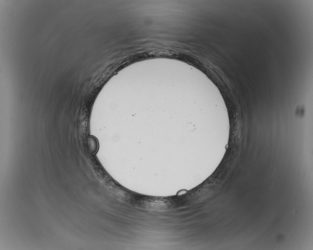 X0000114620513200911171100