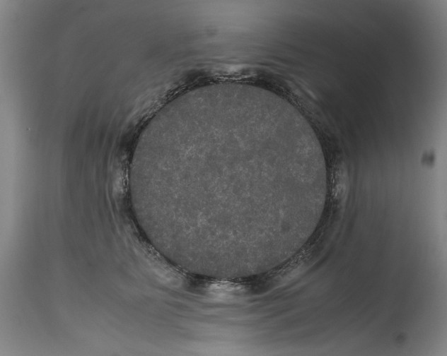 X0000114620515200911171100