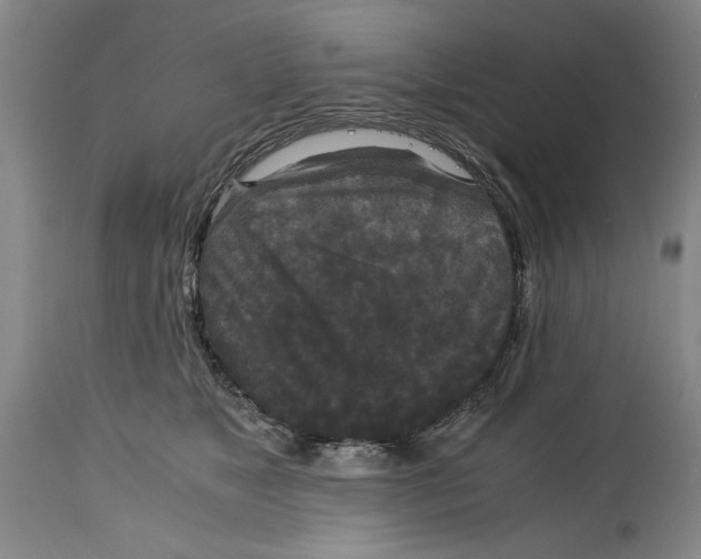 X0000114620517200911171100