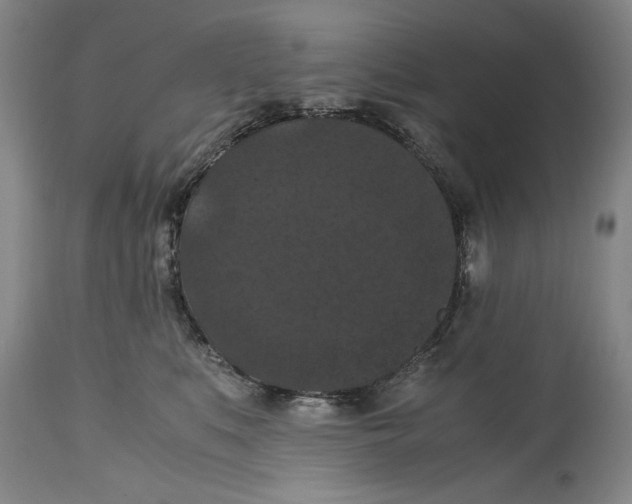 X0000114620519200911171100