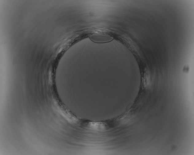 X0000114620520200911171100