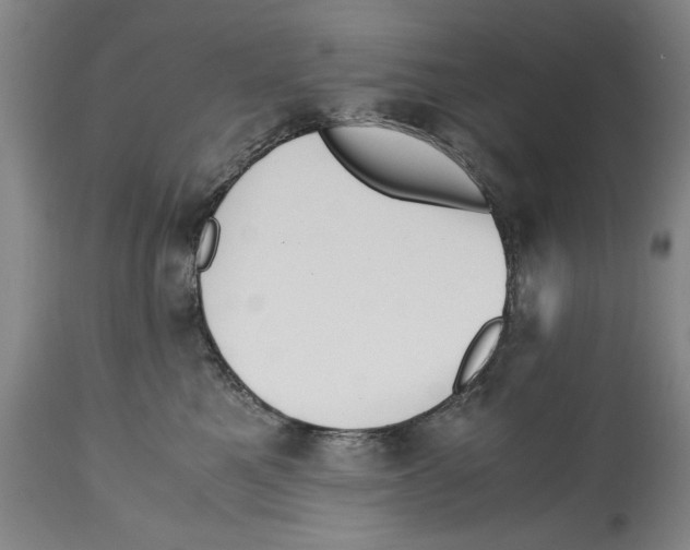 X0000114620521200911171100