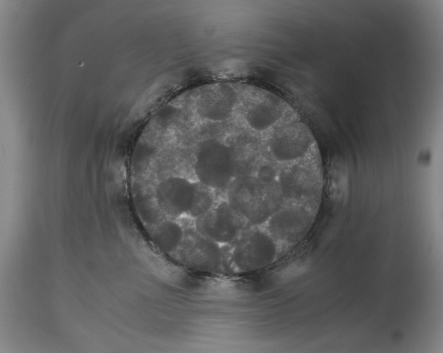 X0000114620523200911171100