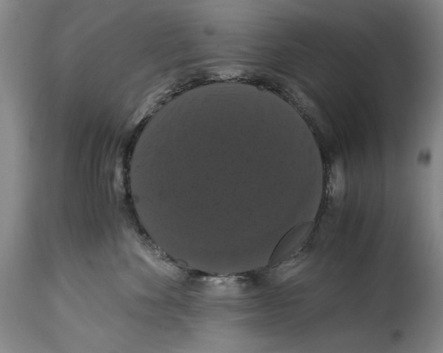 X0000114620524200911171100