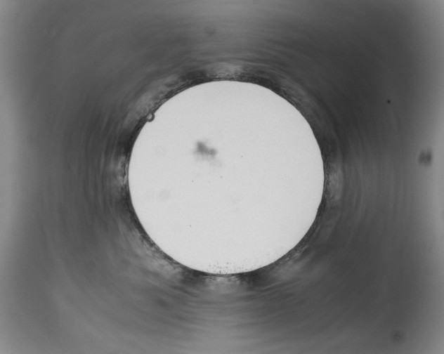 X0000114620525200911171100