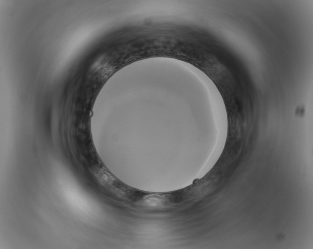 X0000114620526200911171100