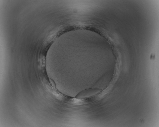 X0000114620528200911171100