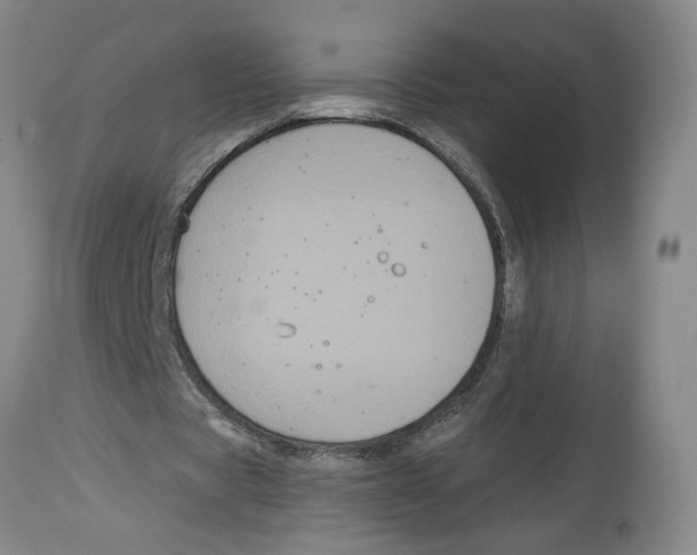 X0000114620529200911171059