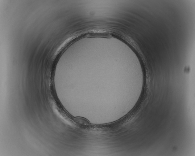 X0000114620530200911171059