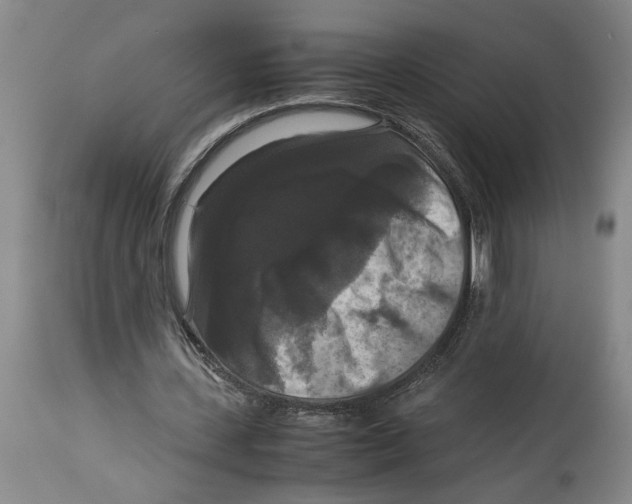 X0000114620531200911171059