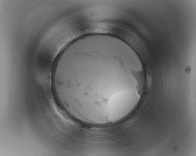 X0000114620534200911171059