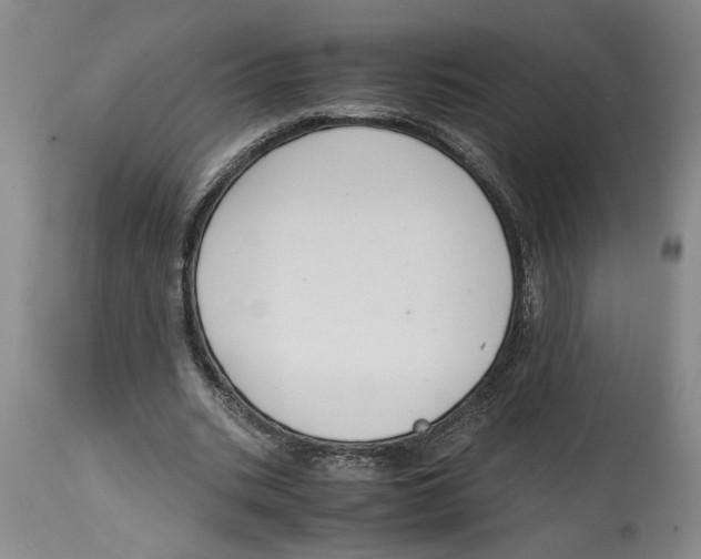 X0000114620535200911171059