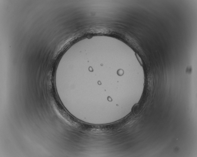 X0000114620538200911171059