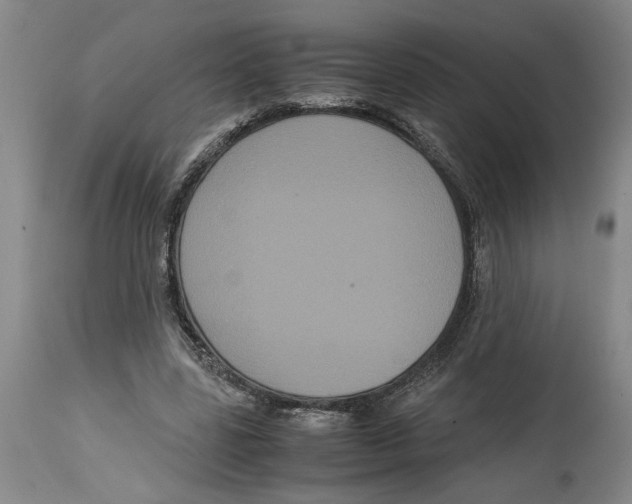 X0000114620539200911171059