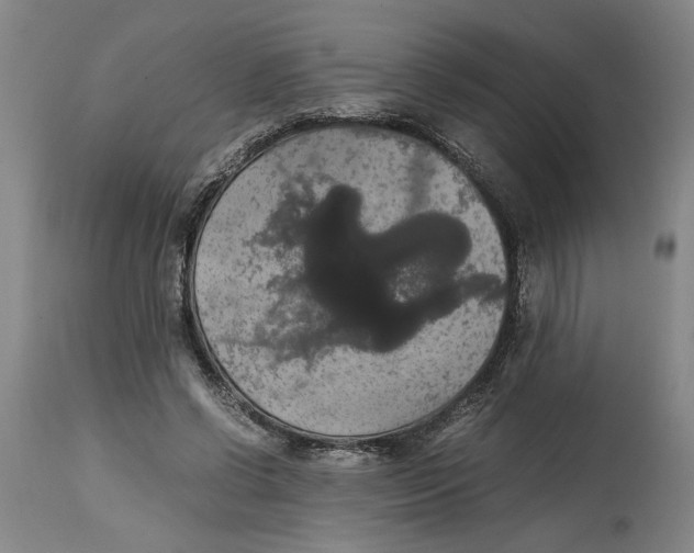 X0000114620542200911171059