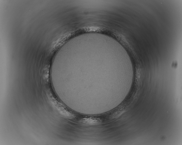 X0000114620545200911171059