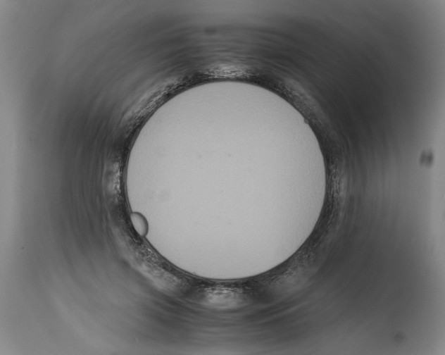 X0000114620549200911171059