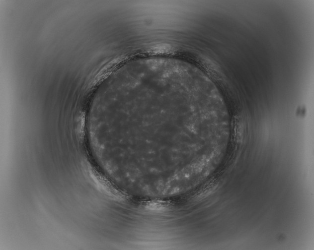 X0000114620550200911171059