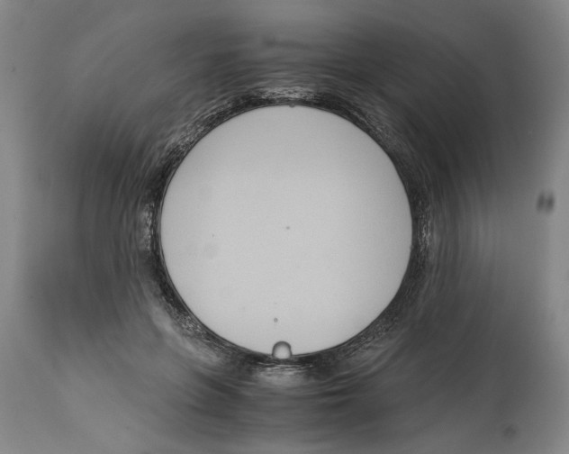 X0000114620551200911171059