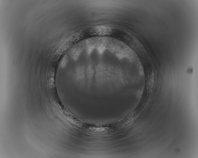 X0000114620553200911171059