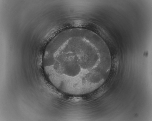 X0000114620554200911171100