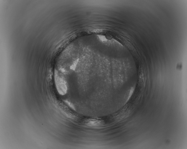 X0000114620555200911171100