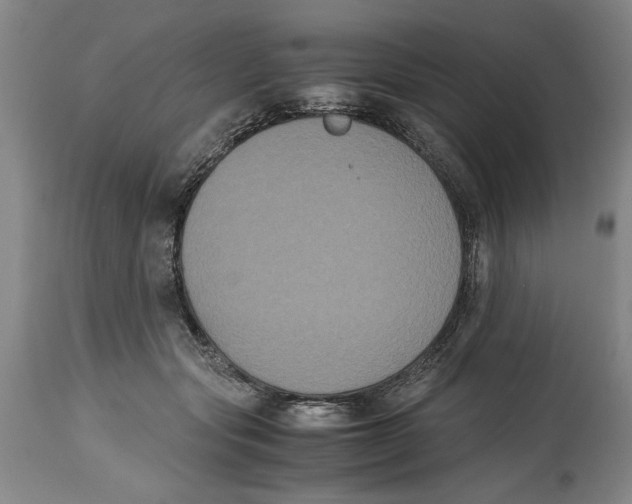 X0000114620557200911171100