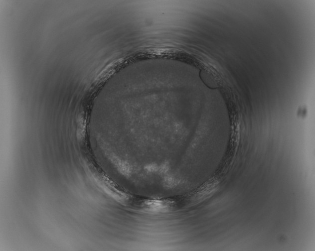 X0000114620558200911171100