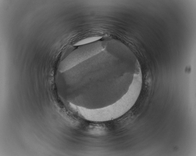 X0000114620559200911171100