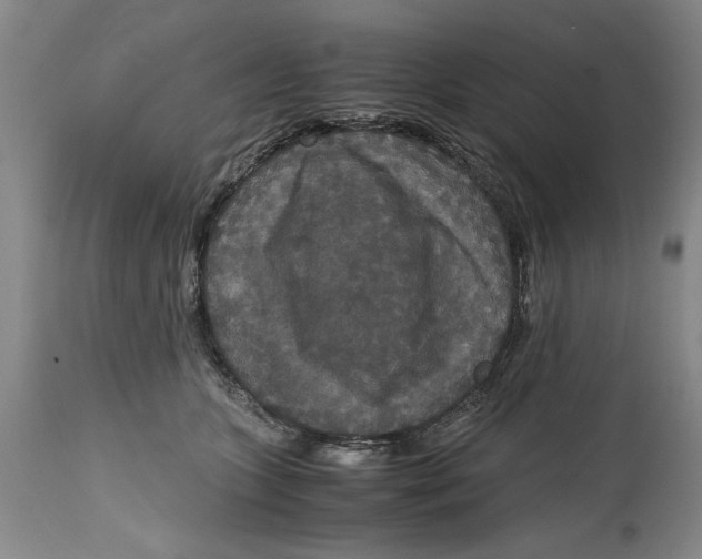 X0000114620563200911171100