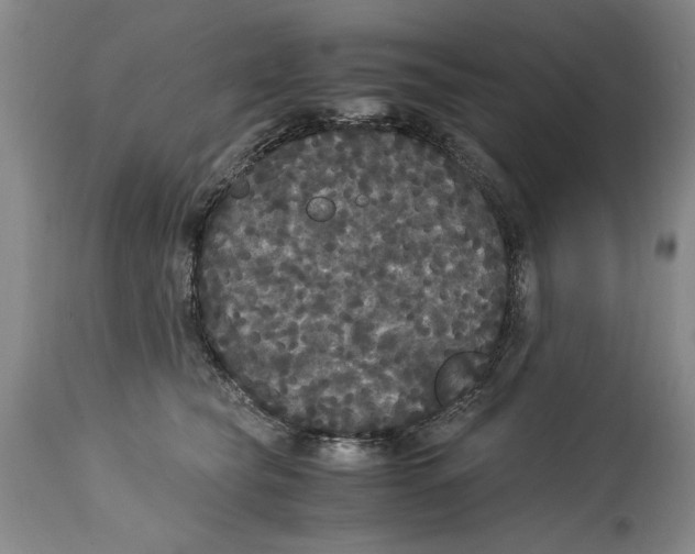 X0000114620565200911171100