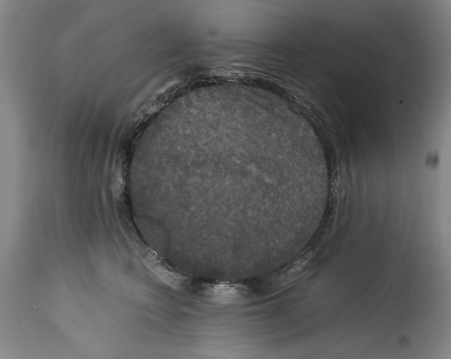 X0000114620566200911171100