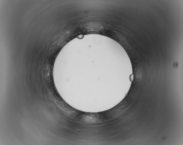 X0000114620567200911171100