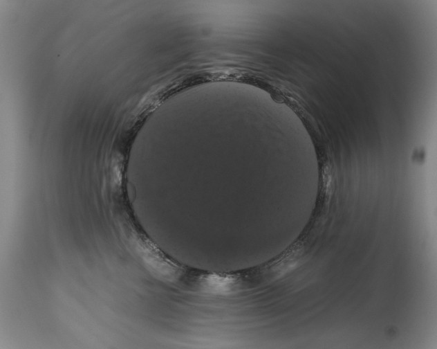 X0000114620570200911171100