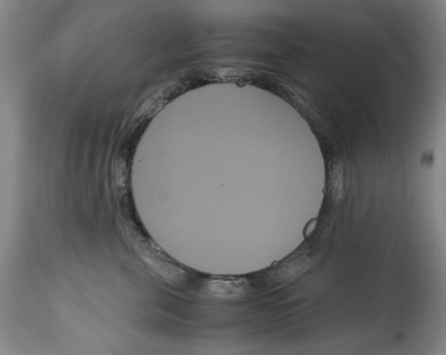 X0000114620571200911171100