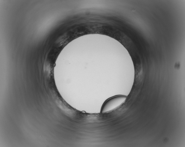 X0000114620574200911171100