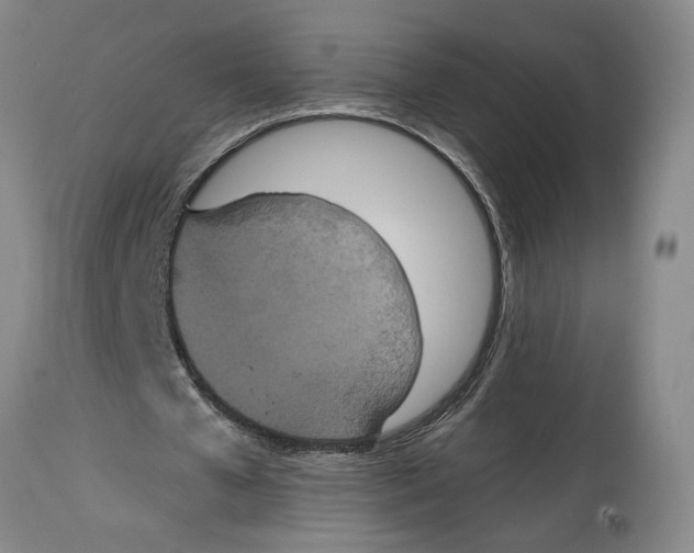 X0000114620577200911171059