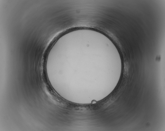 X0000114620580200911171059