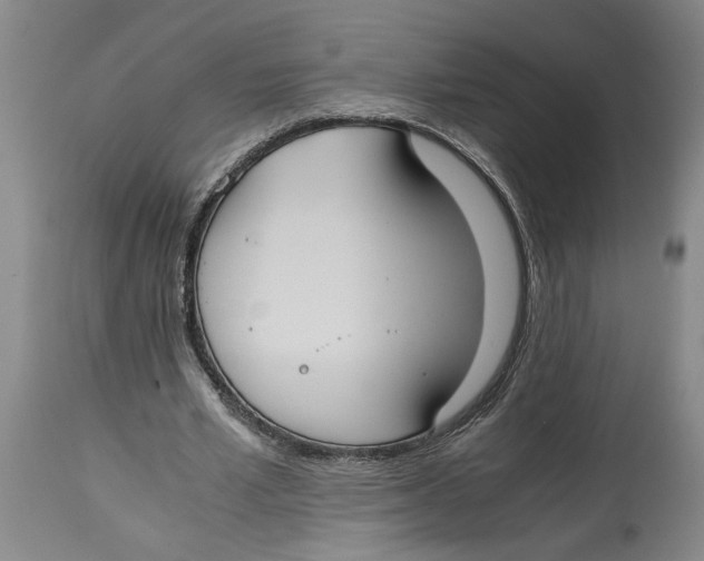 X0000114620581200911171059