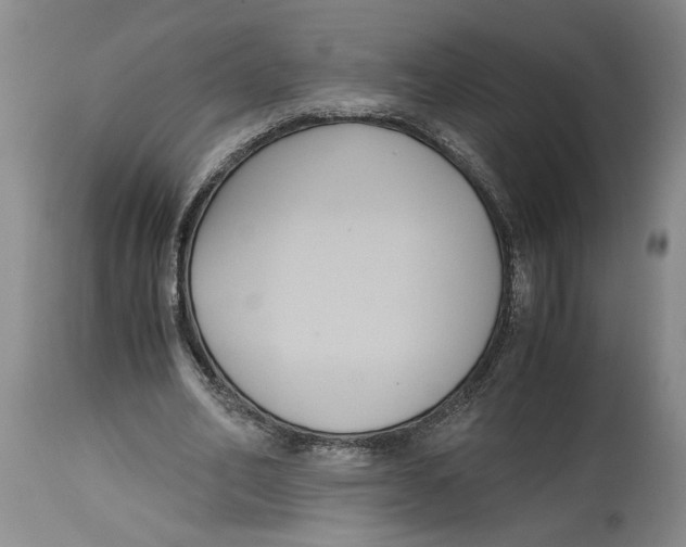 X0000114620582200911171059