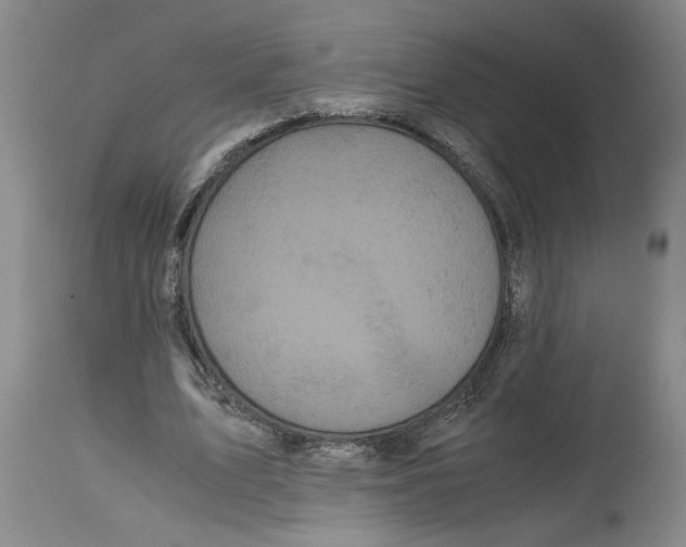 X0000114620583200911171059