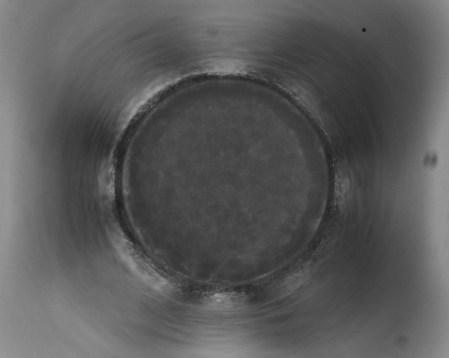 X0000114620584200911171059