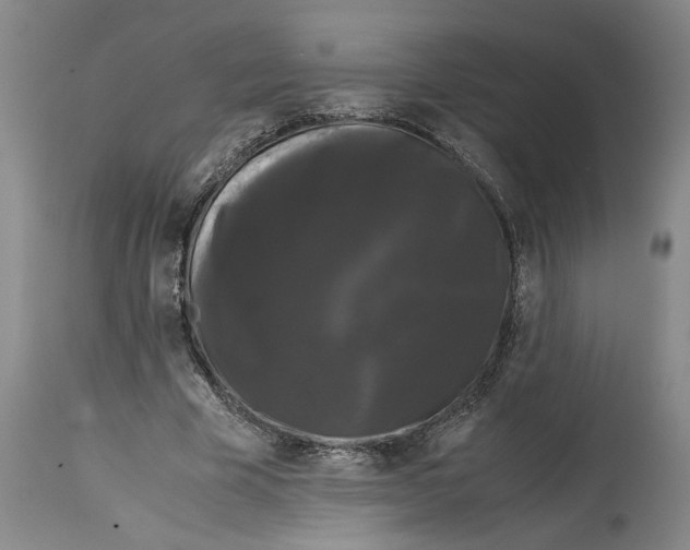 X0000114620585200911171059