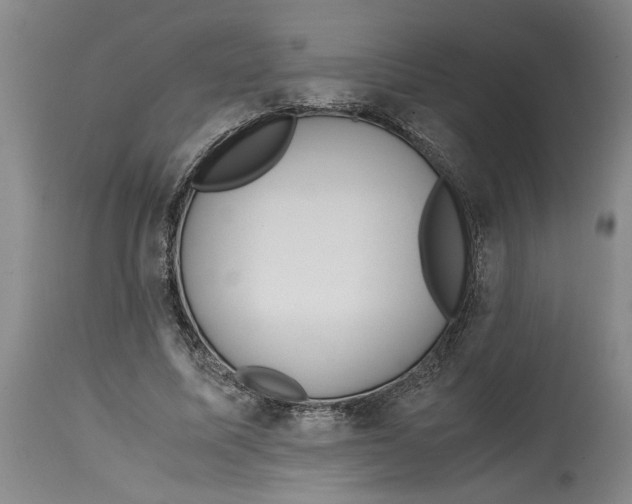 X0000114620587200911171059