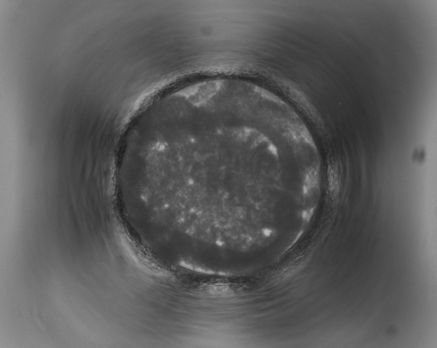 X0000114620588200911171059