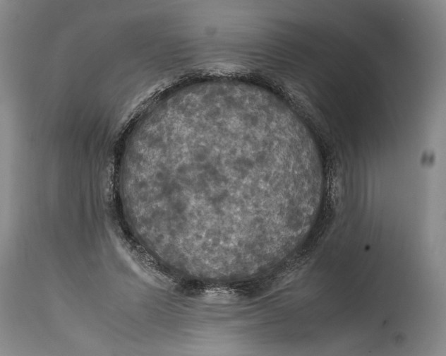 X0000114620591200911171059