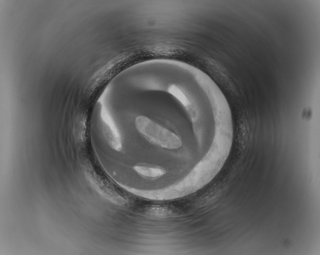 X0000114620596200911171059