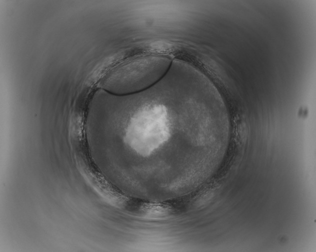 X0000114620597200911171059