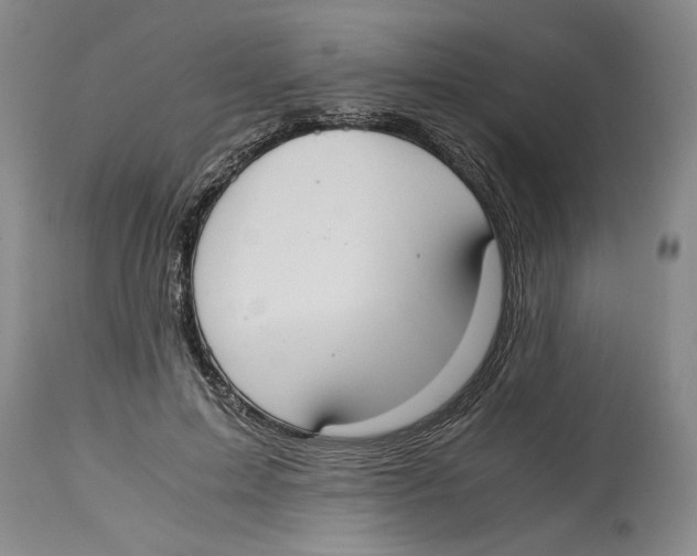 X0000114620599200911171059